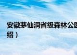 安徽茅仙洞省级森林公园（关于安徽茅仙洞省级森林公园介绍）