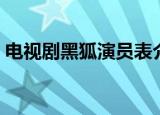 电视剧黑狐演员表介绍（电视剧黑狐演员表）