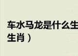车水马龙是什么生肖个人的（车水马龙是什么生肖）