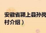安徽省颍上县孙岗村（关于安徽省颍上县孙岗村介绍）