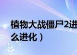 植物大战僵尸2进化（西游大战僵尸2宠物怎么进化）