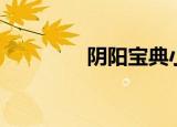 阴阳宝典小说（阴阳宝典）