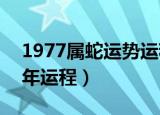 1977属蛇运势运程（1977年属蛇的人2013年运程）