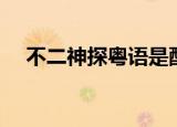 不二神探粤语是配音吗（不二神探粤语）