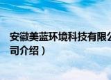 安徽美蓝环境科技有限公司（关于安徽美蓝环境科技有限公司介绍）
