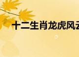 十二生肖龙虎风云（龙虎风云打一生肖）
