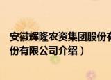 安徽辉隆农资集团股份有限公司（关于安徽辉隆农资集团股份有限公司介绍）