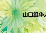 山口组华人（山口组女人）