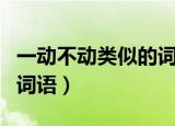 一动不动类似的词语有哪些（一动不动类似的词语）