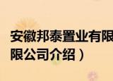 安徽邦泰置业有限公司（关于安徽邦泰置业有限公司介绍）