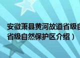安徽萧县黄河故道省级自然保护区（关于安徽萧县黄河故道省级自然保护区介绍）