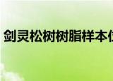 剑灵松树树脂样本位置（剑灵松树树脂样本）
