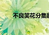 不良笑花分集剧情（不良笑花剧情）