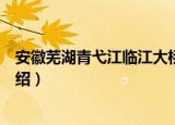 安徽芜湖青弋江临江大桥（关于安徽芜湖青弋江临江大桥介绍）
