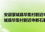 安徽蒙城县毕集村尉迟寺新石器时代聚落遗址（关于安徽蒙城县毕集村尉迟寺新石器时代聚落遗址介绍）