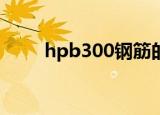 hpb300钢筋的价格（钢筋的价格）