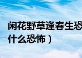 闲花野草逢春生恐怖视频（闲花野草逢春生为什么恐怖）