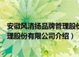 安徽风清扬品牌管理股份有限公司（关于安徽风清扬品牌管理股份有限公司介绍）