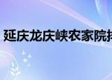 延庆龙庆峡农家院排名（延庆龙庆峡农家院）