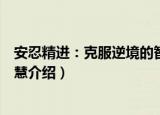 安忍精进：克服逆境的智慧（关于安忍精进：克服逆境的智慧介绍）