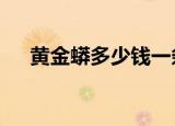 黄金蟒多少钱一条1米（黄金蟒多少钱）