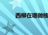 西柳在哪做核酸检测（西柳在哪）