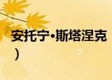安托宁·斯塔涅克（关于安托宁·斯塔涅克介绍）