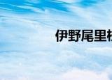 伊野尾里枝（伊野尾理枝）