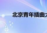 北京青年插曲大全（北京青年插曲）