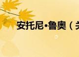 安托尼·鲁奥（关于安托尼·鲁奥介绍）
