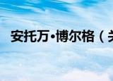 安托万·博尔格（关于安托万·博尔格介绍）