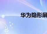 华为隐形屏（什么是隐形屏）