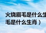 火烧眉毛是什么生肖2021年9月7号（火烧眉毛是什么生肖）