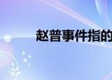 赵普事件指的是什么（赵普事件）