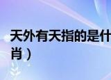 天外有天指的是什么生肖（天外有天是什么生肖）