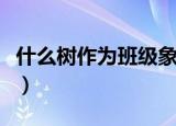 什么树作为班级象征（有寓意的班级树的名字）