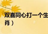 双喜同心打一个生肖（双双一对家和兴打一生肖）
