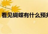 看见蝴蝶有什么预兆（看见鬼蝴蝶预示什么）