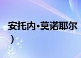 安托内·莫诺耶尔（关于安托内·莫诺耶尔介绍）