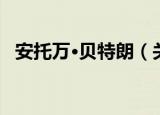 安托万·贝特朗（关于安托万·贝特朗介绍）
