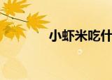 小虾米吃什么（小虾吃什么）