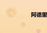 阿德里亚诺（adel）
