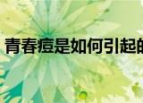 青春痘是如何引起的（青春痘是怎么引起的）