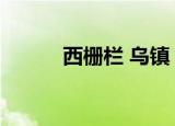 西栅栏 乌镇（乌镇西栅章叔叔）