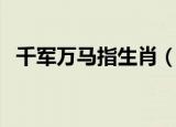 千军万马指生肖（千军万马打一准确生肖）