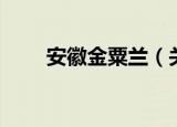 安徽金粟兰（关于安徽金粟兰介绍）