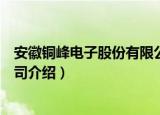 安徽铜峰电子股份有限公司（关于安徽铜峰电子股份有限公司介绍）