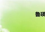 鲁瑛琦（鲁瑛）
