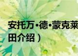 安托万·德·蒙克莱田（关于安托万·德·蒙克莱田介绍）