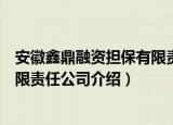 安徽鑫鼎融资担保有限责任公司（关于安徽鑫鼎融资担保有限责任公司介绍）